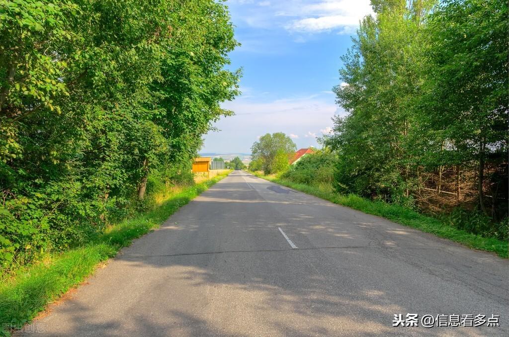 广东省旅游大数据报告，探索旅游业的繁荣与发展