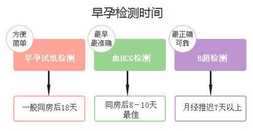 同房后一个月的测试，探寻早期怀孕迹象与身体变化