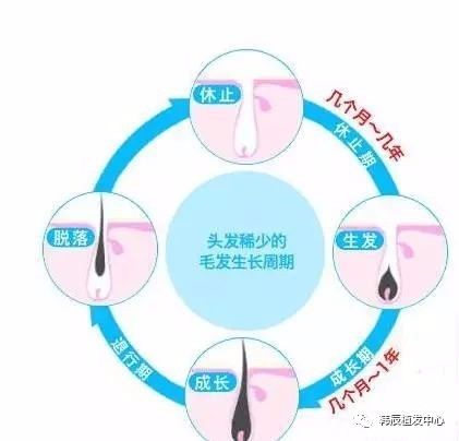 头发一个月能长多长，生长速度及其影响因素