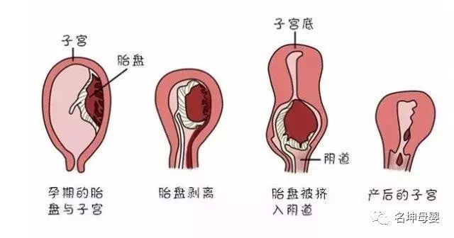 孕期八个月是几周，深入了解孕期周数与月份的关系