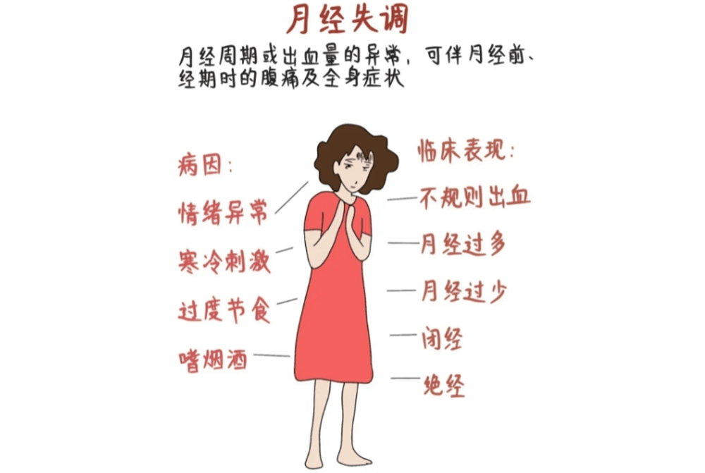 姨妈一个月没来了，关注女性健康，探寻原因与对策