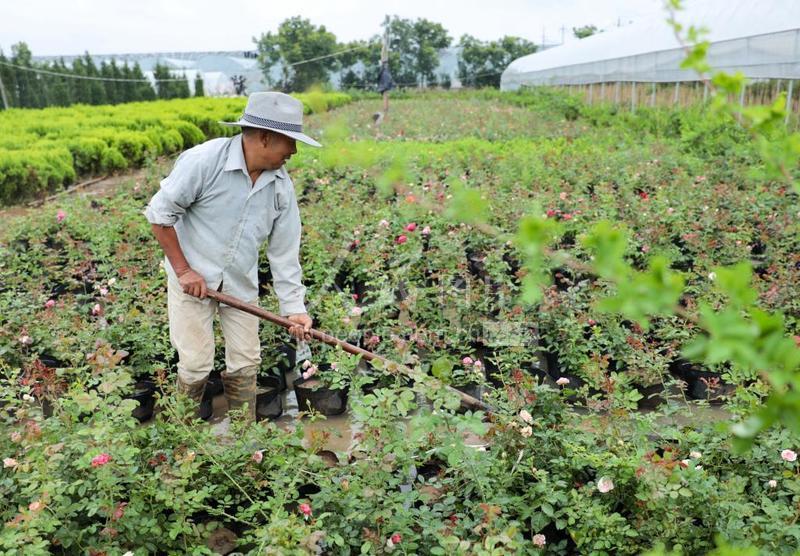 江苏高科技包装深度解析