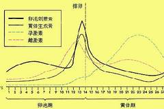 月经周期的波动，月经来了半个月又来的现象解析