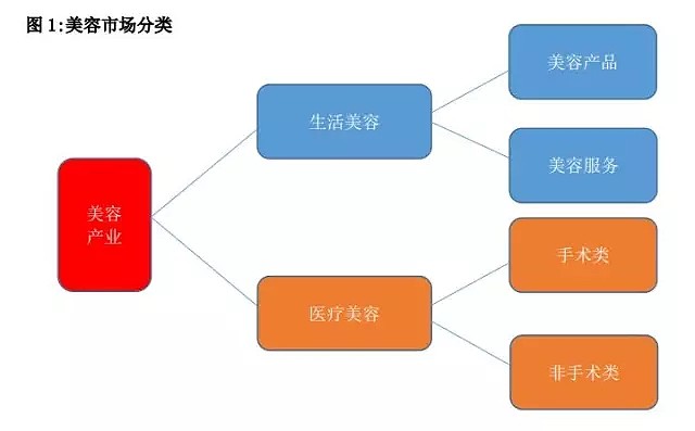 美容多少钱一个月——深度探讨美容费用构成与个性化消费策略